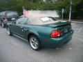 2001 Electric Green Metallic Ford Mustang GT Convertible  photo #2