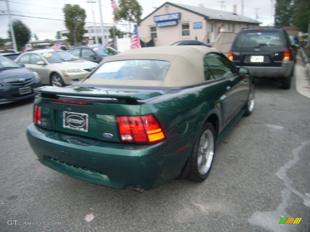 2001 Mustang GT Convertible - Electric Green Metallic / Medium Parchment photo #4