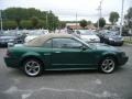 2001 Electric Green Metallic Ford Mustang GT Convertible  photo #5