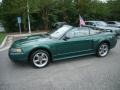 2001 Electric Green Metallic Ford Mustang GT Convertible  photo #13
