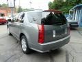 Silver Smoke - SRX V6 Photo No. 3