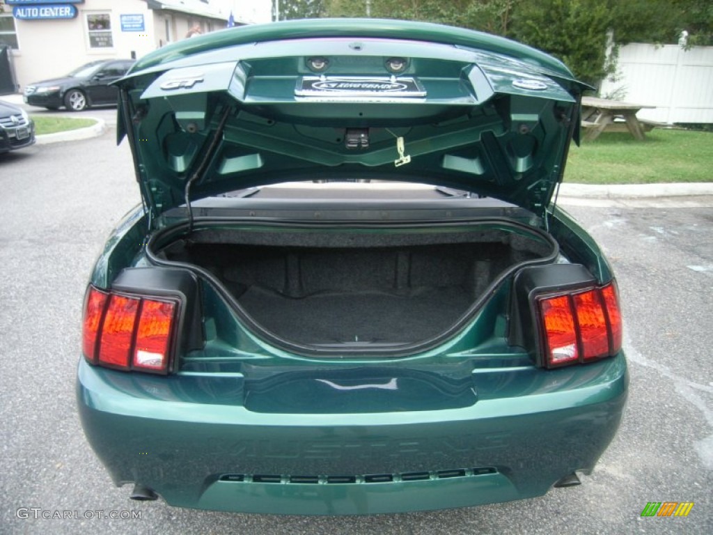 2001 Ford Mustang GT Convertible Trunk Photo #54143103
