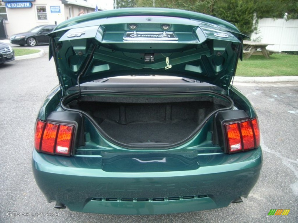 2001 Mustang GT Convertible - Electric Green Metallic / Medium Parchment photo #14