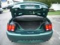 2001 Electric Green Metallic Ford Mustang GT Convertible  photo #14