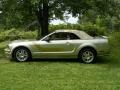 2006 Legend Lime Metallic Ford Mustang GT Premium Convertible  photo #43