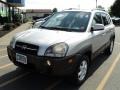 Sahara Silver - Tucson GLS V6 4WD Photo No. 1