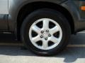 Sahara Silver - Tucson GLS V6 4WD Photo No. 5