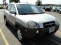 Sahara Silver - Tucson GLS V6 4WD Photo No. 11