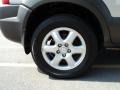 Sahara Silver - Tucson GLS V6 4WD Photo No. 16