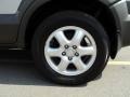 Sahara Silver - Tucson GLS V6 4WD Photo No. 18