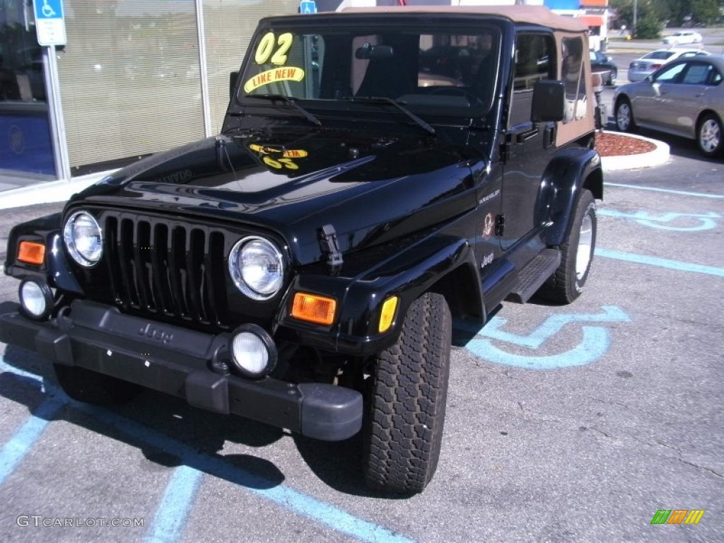 2002 Wrangler Sahara 4x4 - Black / Camel Beige/Dark Green photo #2