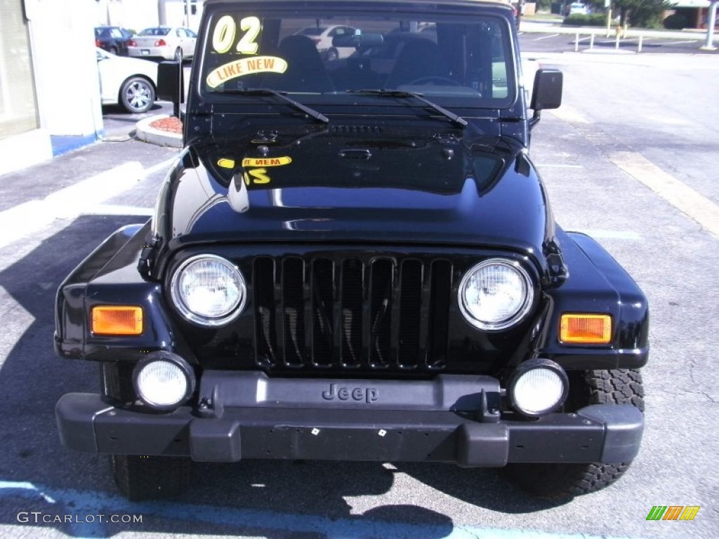 2002 Wrangler Sahara 4x4 - Black / Camel Beige/Dark Green photo #3