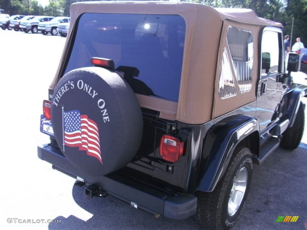 2002 Wrangler Sahara 4x4 - Black / Camel Beige/Dark Green photo #6