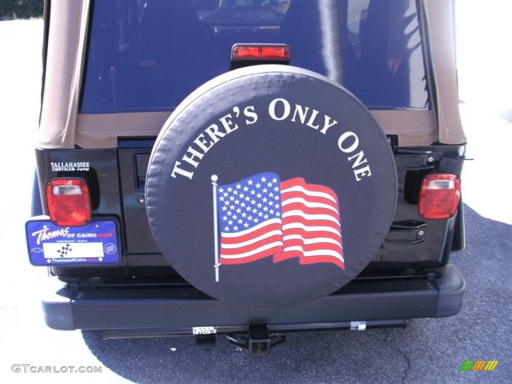 2002 Wrangler Sahara 4x4 - Black / Camel Beige/Dark Green photo #7