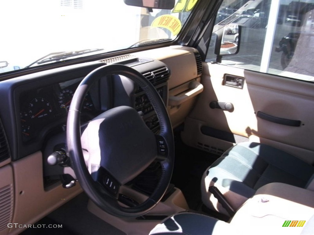 2002 Wrangler Sahara 4x4 - Black / Camel Beige/Dark Green photo #12