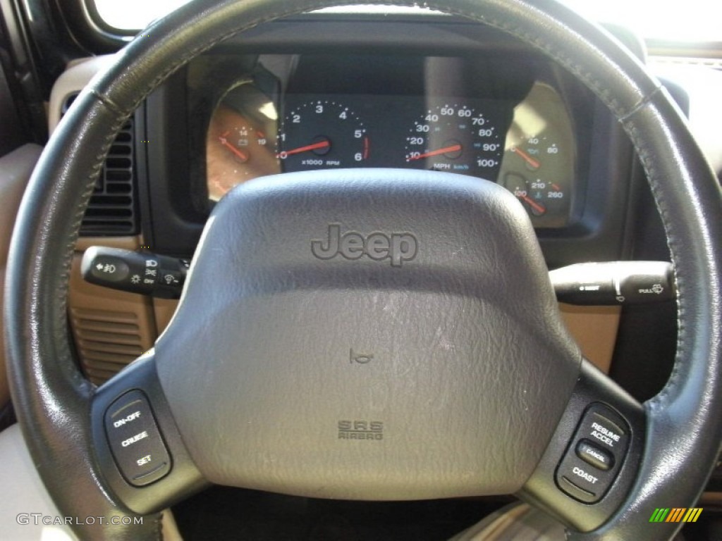 2002 Wrangler Sahara 4x4 - Black / Camel Beige/Dark Green photo #18