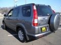 Pewter Pearl - CR-V Special Edition 4WD Photo No. 3