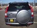 2005 Pewter Pearl Honda CR-V Special Edition 4WD  photo #4
