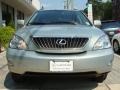 Bamboo Pearl - RX 350 AWD Photo No. 2