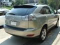 Bamboo Pearl - RX 350 AWD Photo No. 4