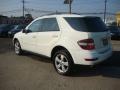 Arctic White - ML 350 4Matic Photo No. 3