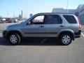 2006 Silver Moss Metallic Honda CR-V EX 4WD  photo #2