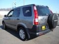 2006 Silver Moss Metallic Honda CR-V EX 4WD  photo #3