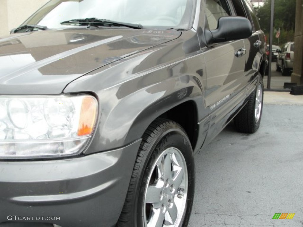 2004 Grand Cherokee Limited - Graphite Metallic / Sandstone photo #6