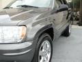 Graphite Metallic - Grand Cherokee Limited Photo No. 6