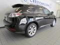 2010 Obsidian Black Lexus RX 350  photo #3