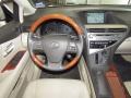 2010 Obsidian Black Lexus RX 350  photo #14
