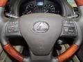 2010 Obsidian Black Lexus RX 350  photo #15