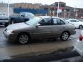 Bronze Shimmer Metallic - Sentra 1.8 S Special Edition Photo No. 5