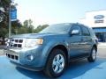2012 Steel Blue Metallic Ford Escape Limited  photo #1