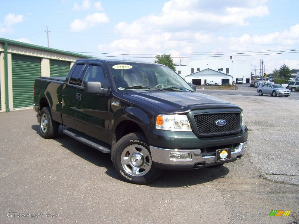 2004 F150 XLT SuperCab 4x4 - Aspen Green Metallic / Black/Medium Flint photo #3