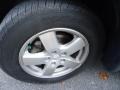 2006 Bright Silver Metallic Dodge Grand Caravan SXT  photo #25