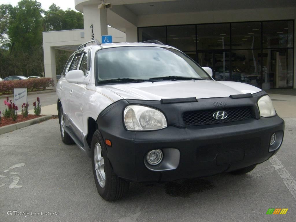 2004 Santa Fe GLS - Nordic White / Beige photo #9