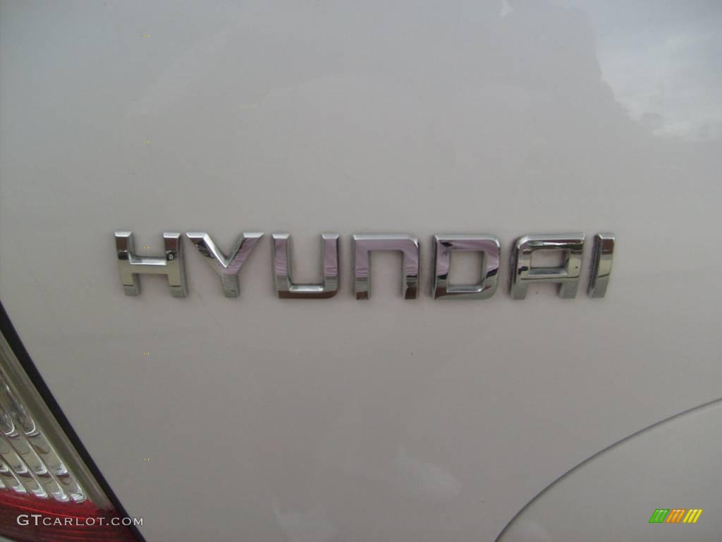 2004 Santa Fe GLS - Nordic White / Beige photo #10