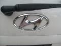 2004 Nordic White Hyundai Santa Fe GLS  photo #11