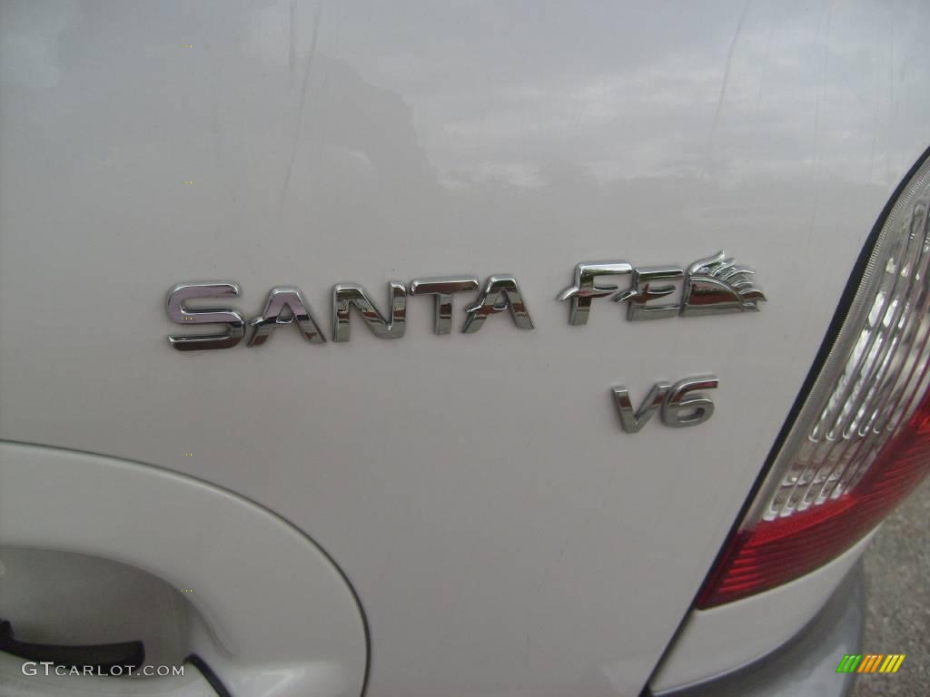 2004 Santa Fe GLS - Nordic White / Beige photo #12