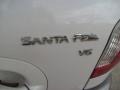 2004 Nordic White Hyundai Santa Fe GLS  photo #12