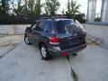 Steel Blue - Santa Fe GLS Photo No. 5