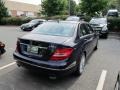 Lunar Blue Metallic - C 300 Luxury 4Matic Photo No. 3