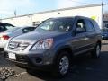 Pewter Pearl - CR-V SE 4WD Photo No. 1