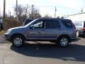 2006 Pewter Pearl Honda CR-V SE 4WD  photo #3