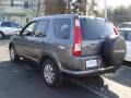 Pewter Pearl - CR-V SE 4WD Photo No. 4
