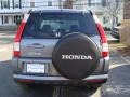 2006 Pewter Pearl Honda CR-V SE 4WD  photo #5