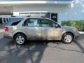 2006 Pueblo Gold Metallic Ford Freestyle SEL  photo #2