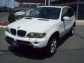 Alpine White - X5 3.0i Photo No. 1