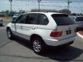 Alpine White - X5 3.0i Photo No. 3
